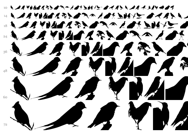 Birds TFB font waterfall